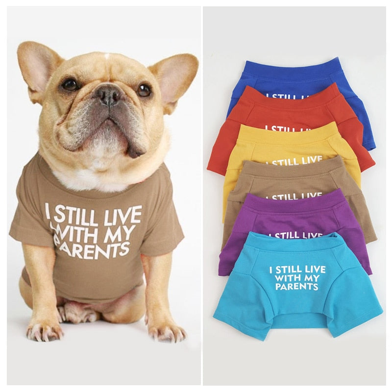 Apparel