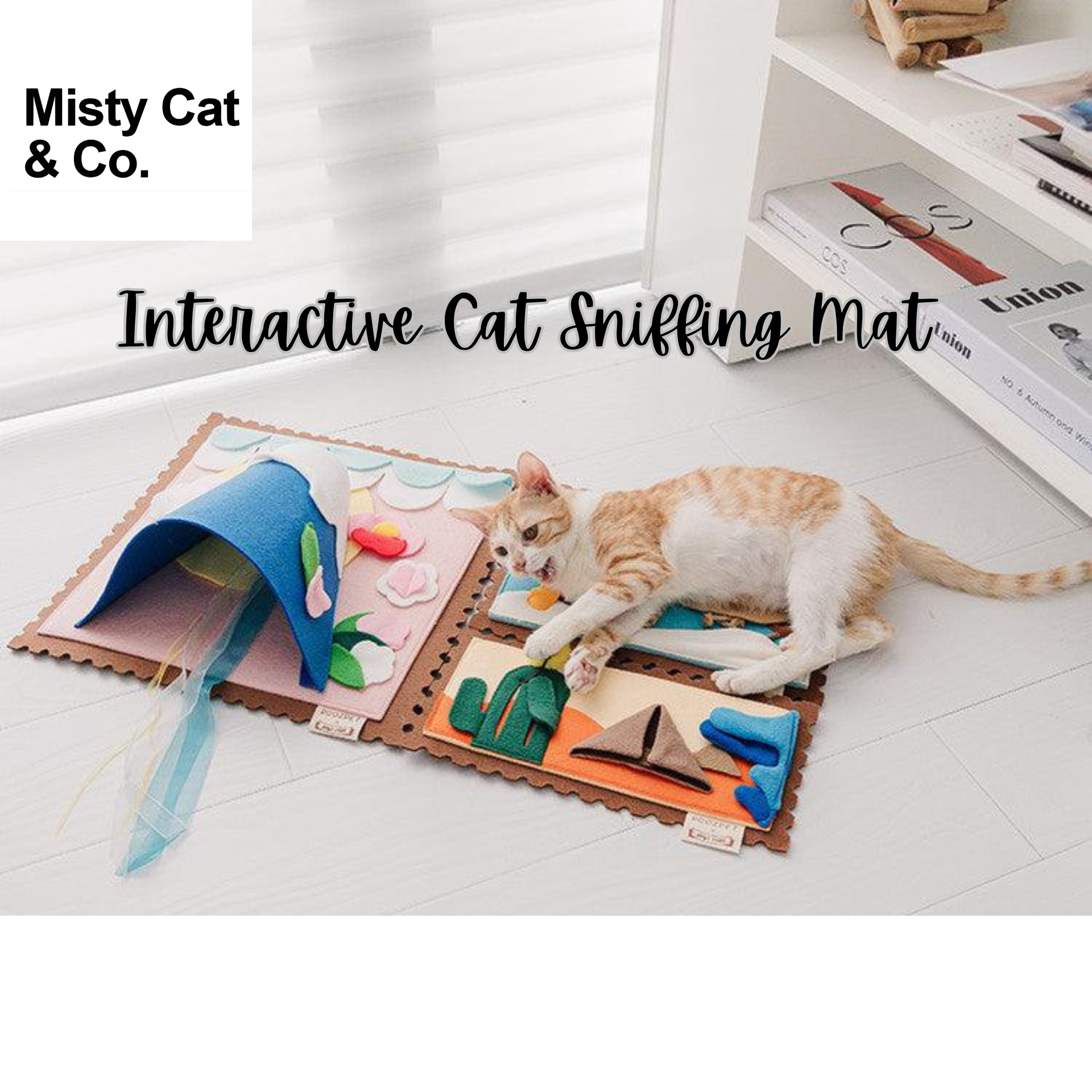 Spoiled Pets- Chicken and Salmon Balanced Bowl