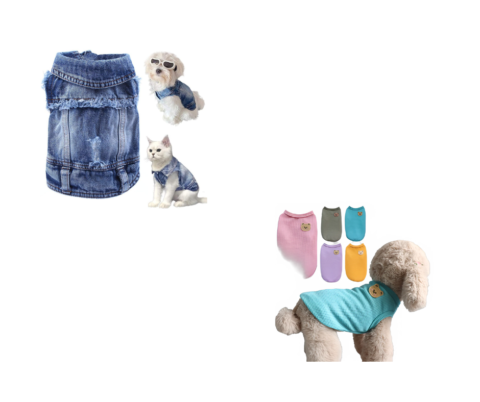 Transparent Pet Carrier Backpack