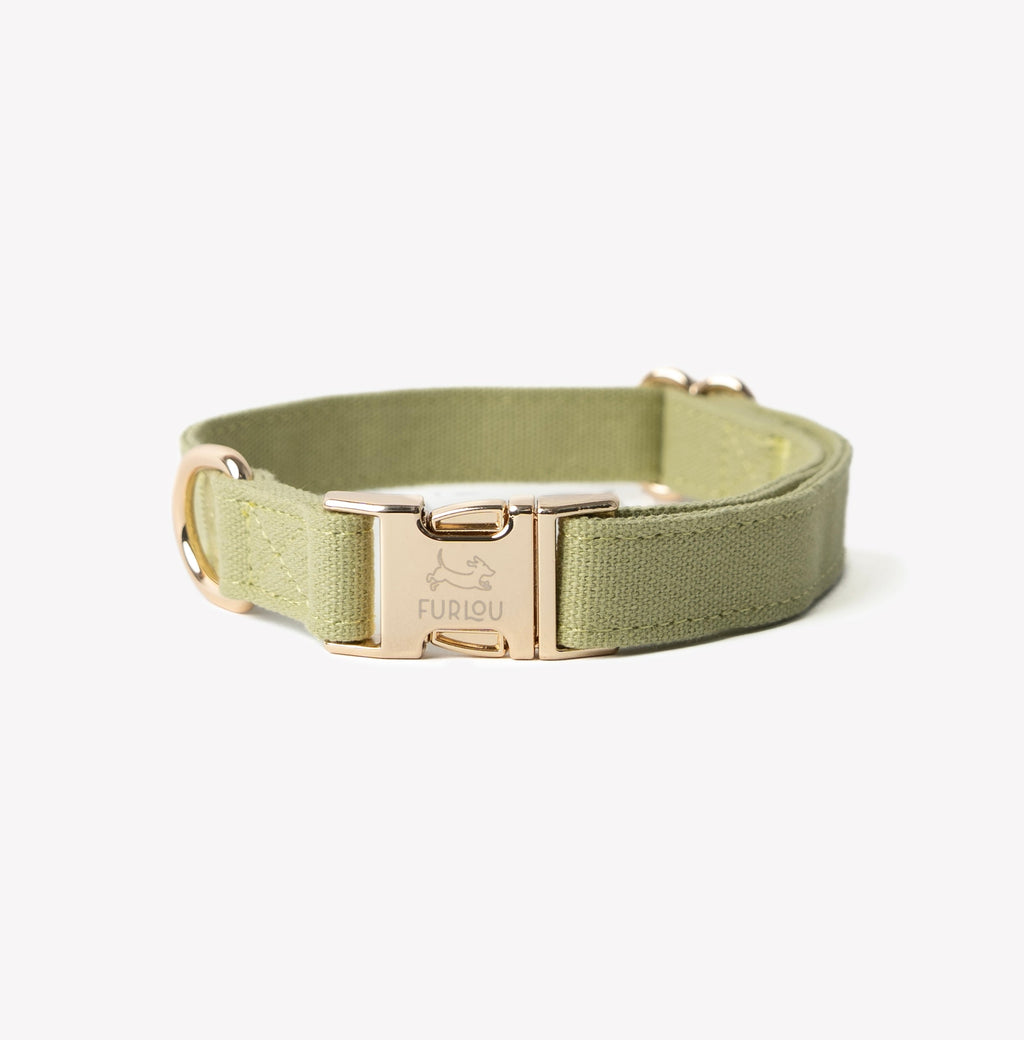 Furlou Green Canvas Collar
