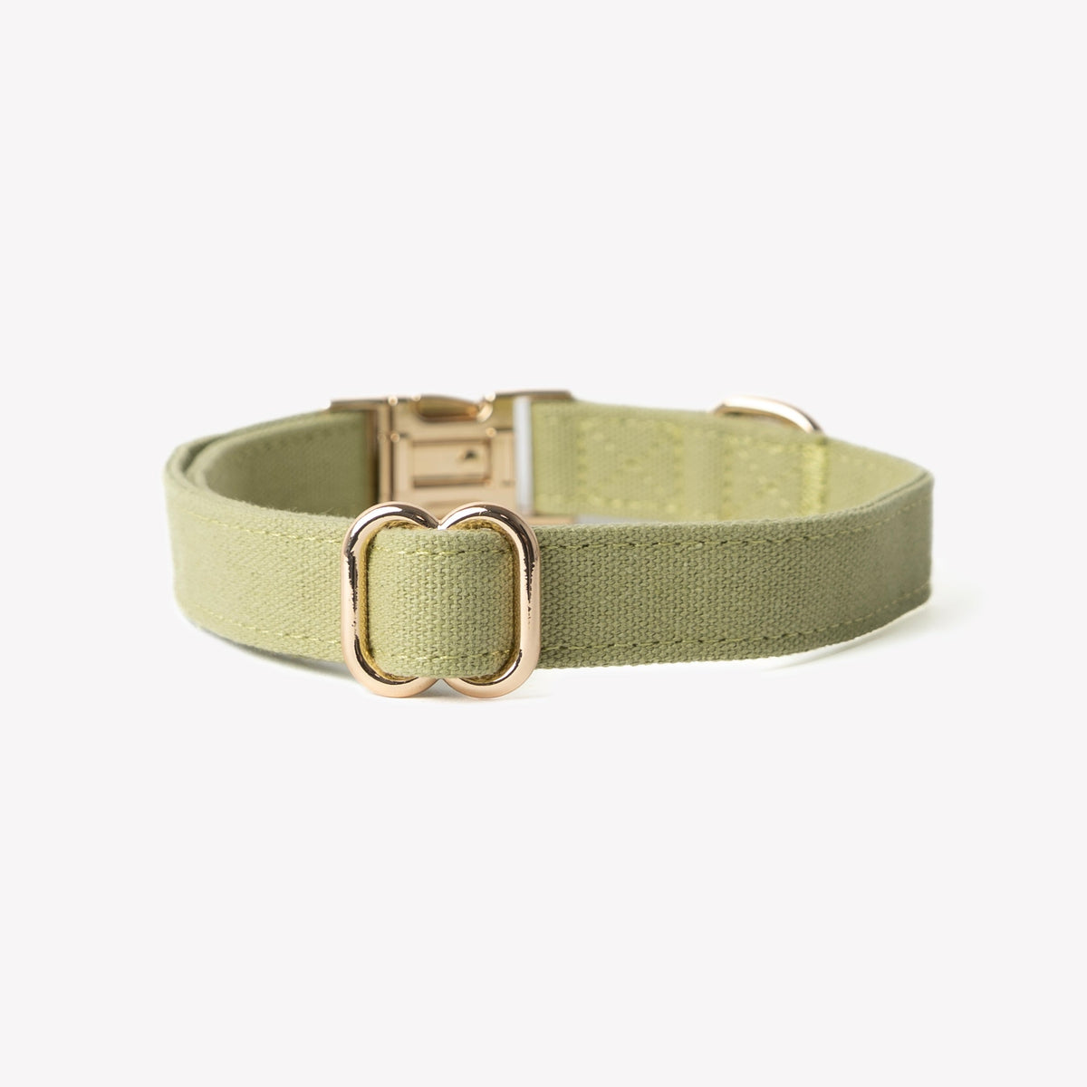 Furlou Green Canvas Collar