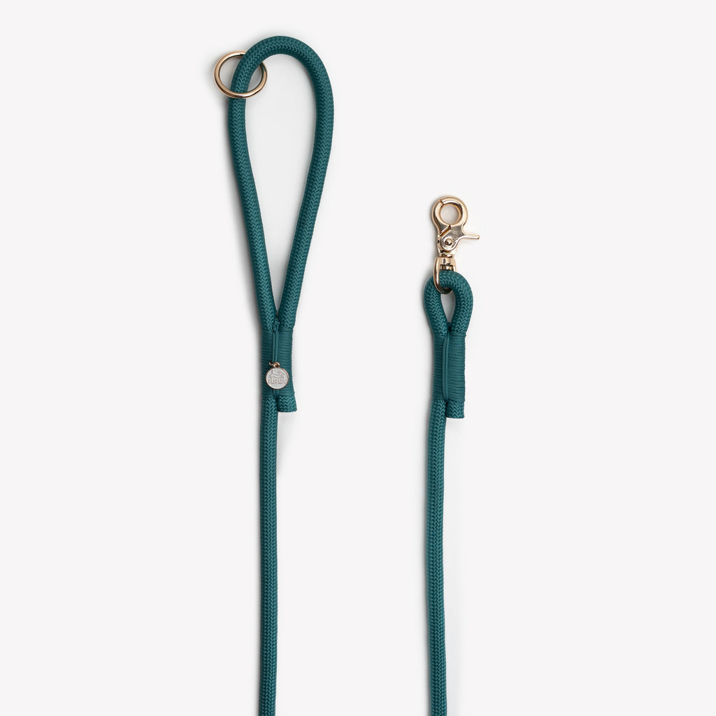 'Blue' - Braided Rope Leash