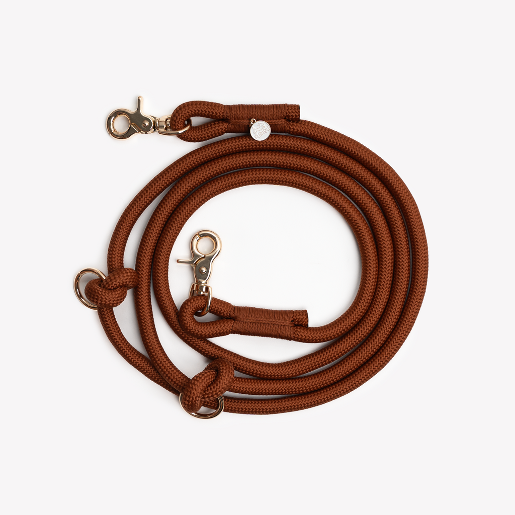 Furlou Brown Canvas Collar