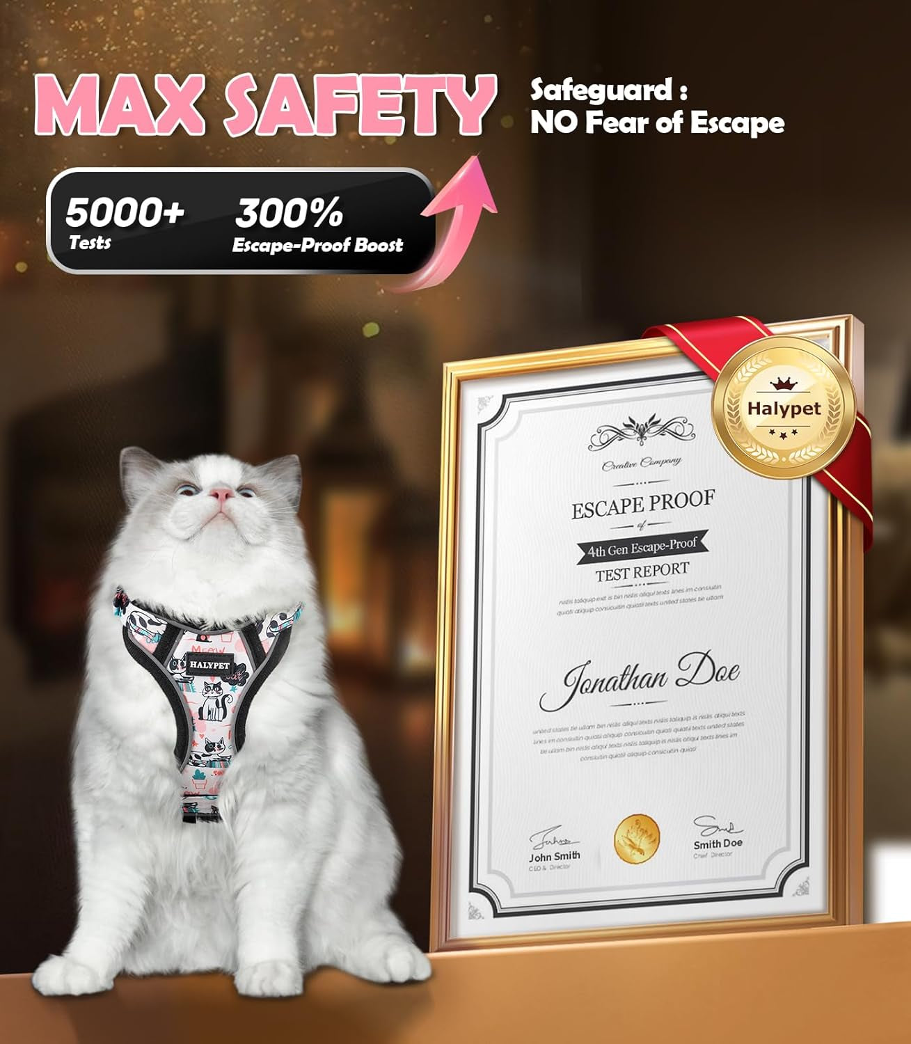 Cat Harness and Leash