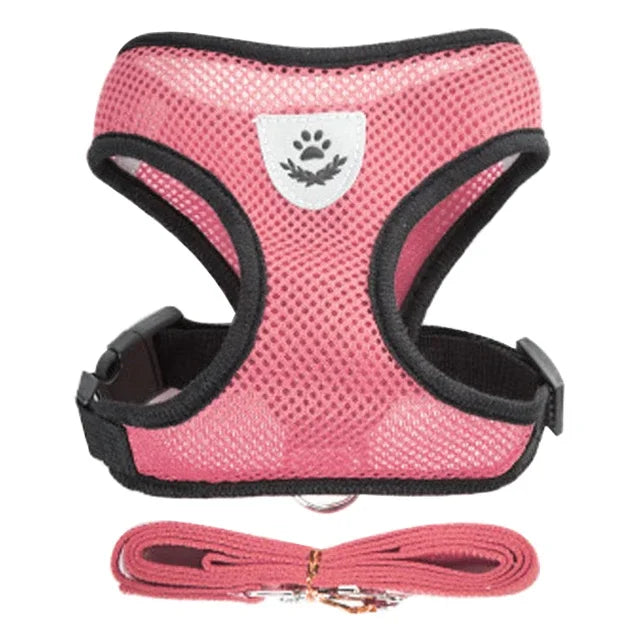 Cat Harness Vest & Leash
