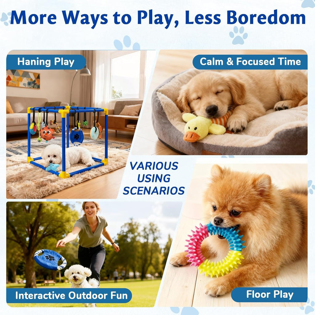 Interactive Puppy Play Gym
