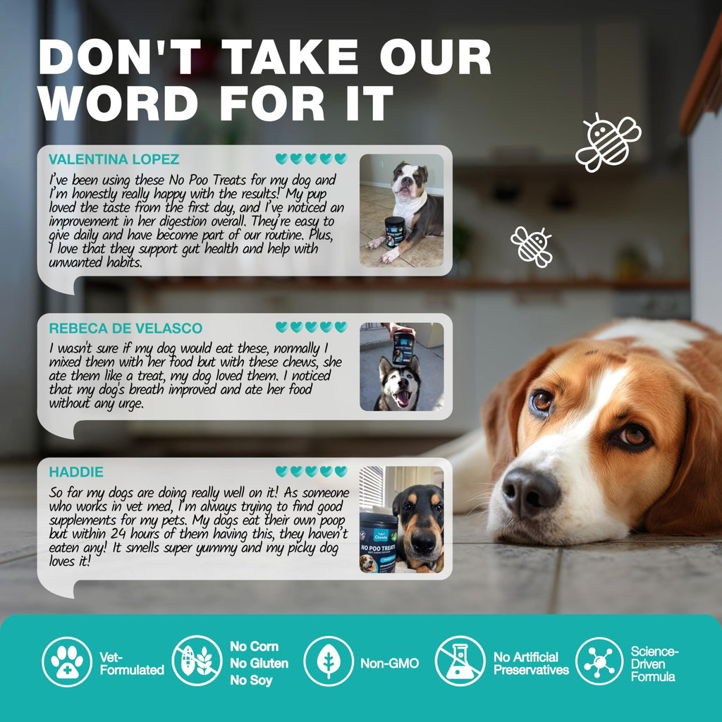 No Poo Chews for Dogs