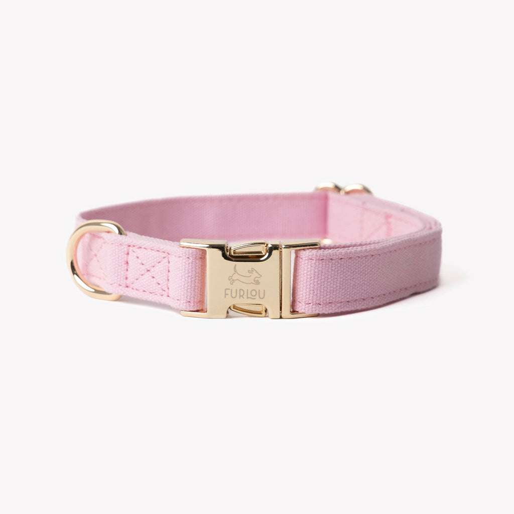 Furlou Pink Canvas Collar