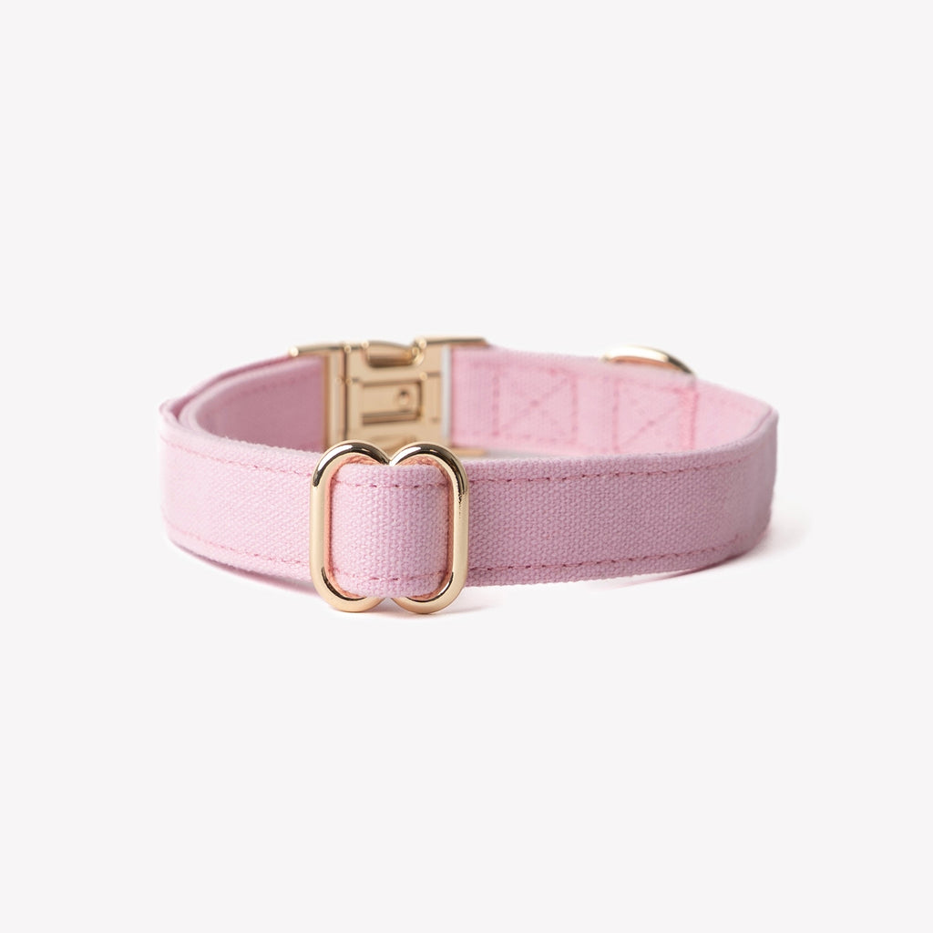 Furlou Pink Canvas Collar