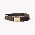 Furlou Brown Canvas Collar