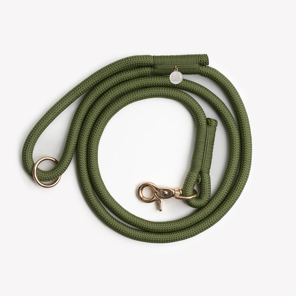 Furlou Stylish Green Leash
