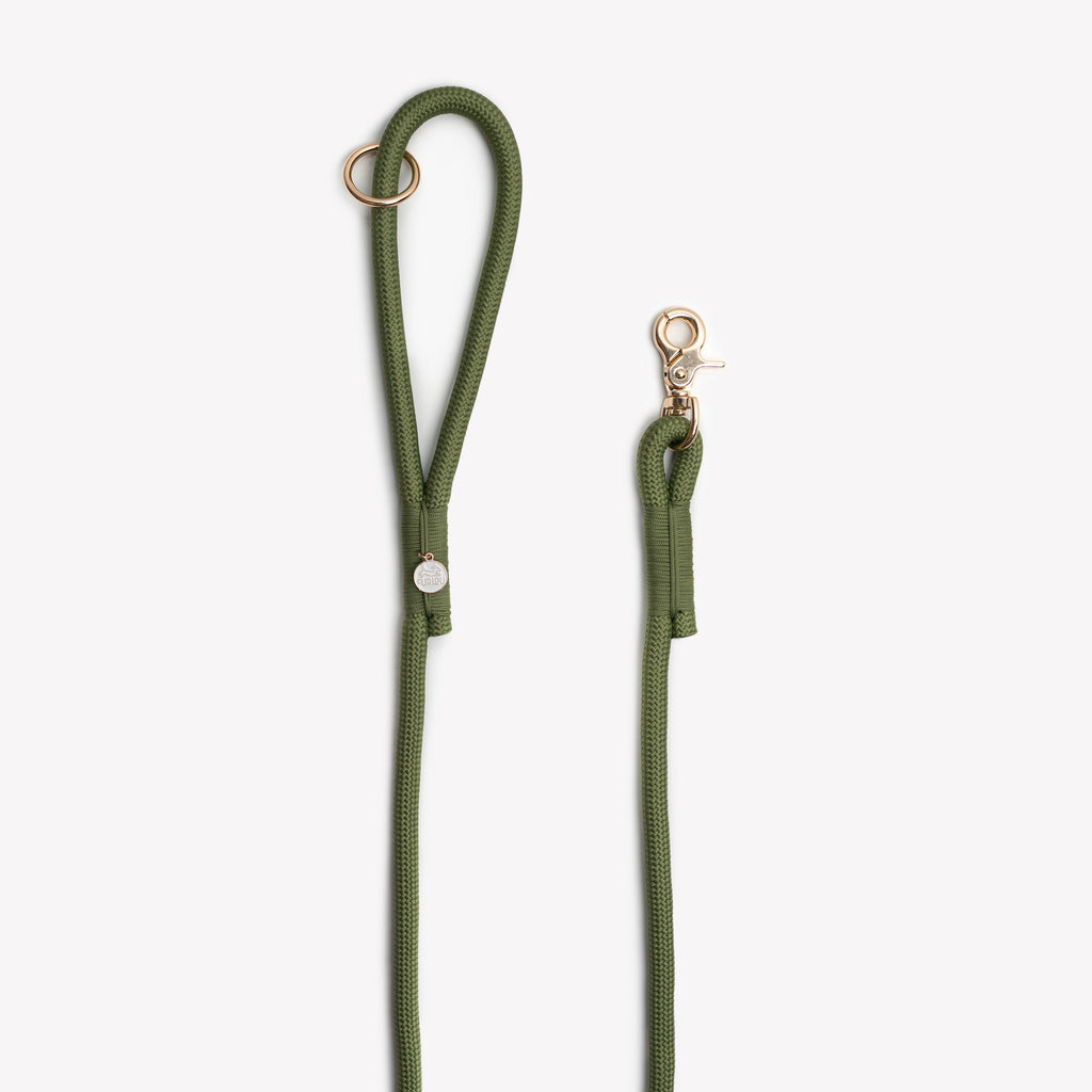 Furlou Stylish Green Leash