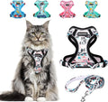 Cat Harness and Leash