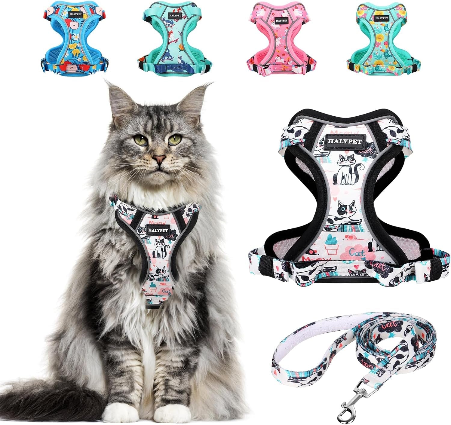 Cat Harness and Leash