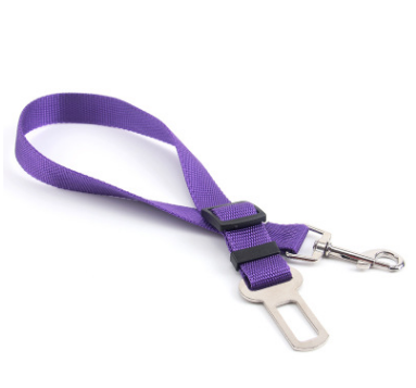 Fixed Strap Dog Strap Leash