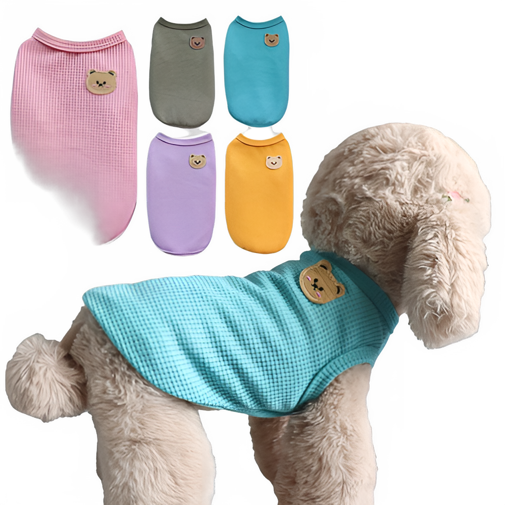 Spring Cat and Dog T-shirt