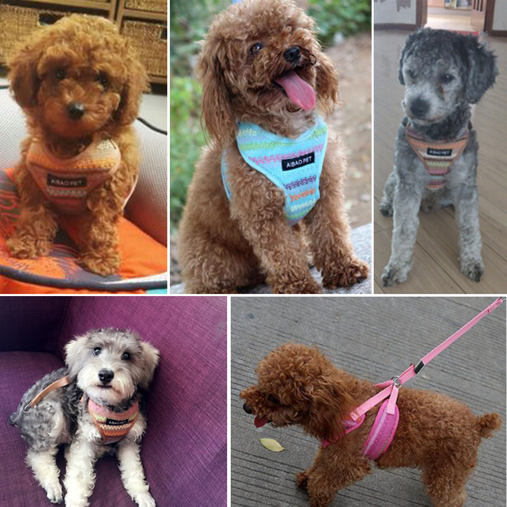 Colorful Fleece Harness Set