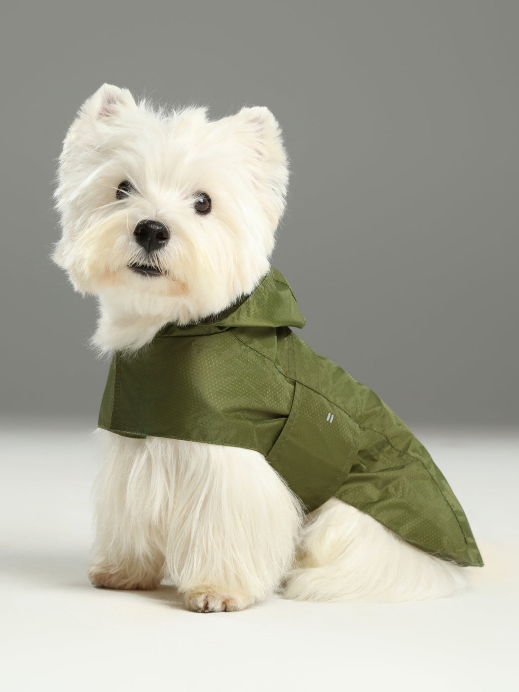 Green Capsule Raincoat