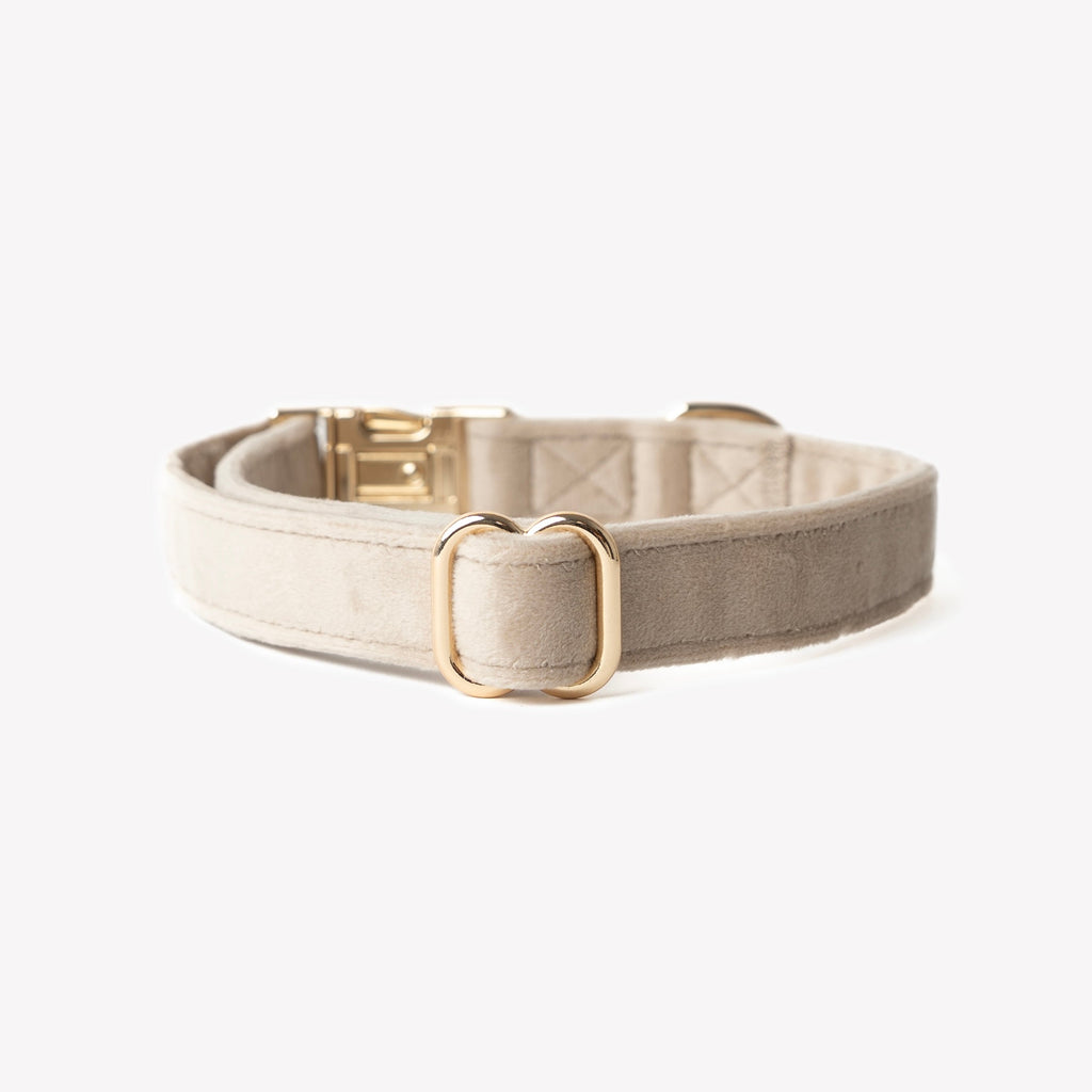 Furlou 'Sand' - Velvet Collar