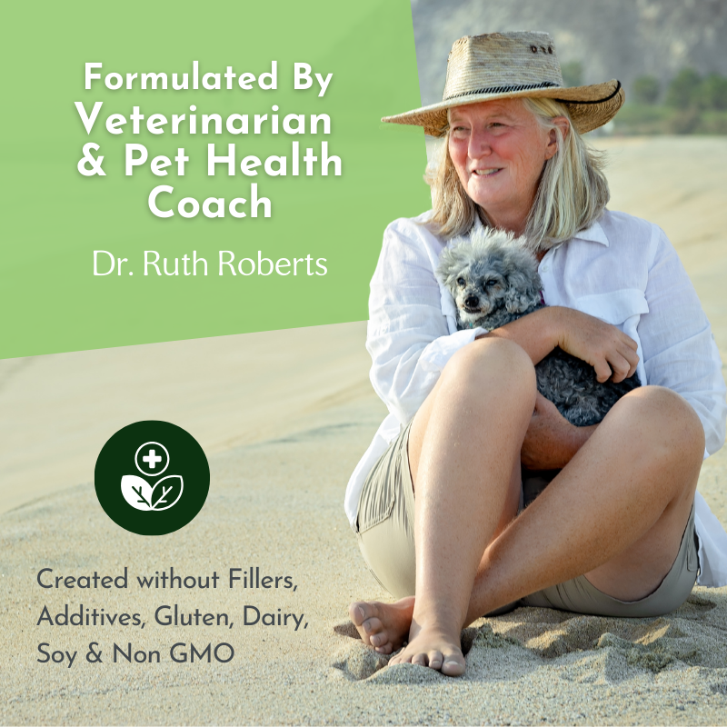Multivitamin & Glandular Support for Dogs and Cats
