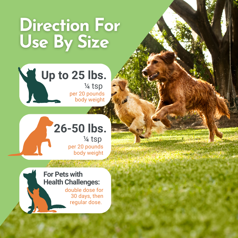 Multivitamin & Glandular Support for Dogs and Cats