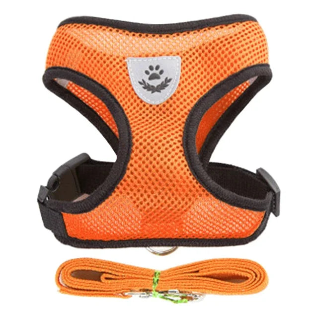 Cat Harness Vest & Leash