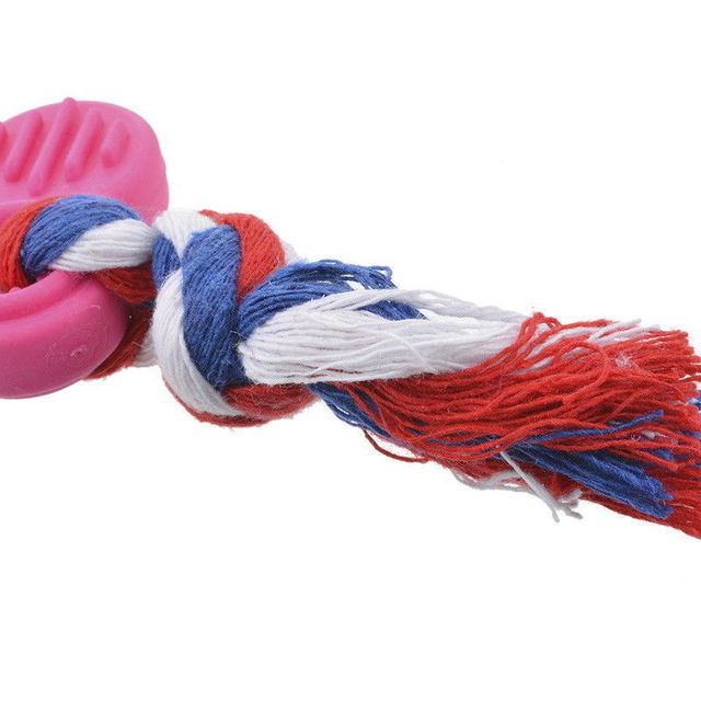 Dog Biscuit Cookie Toy