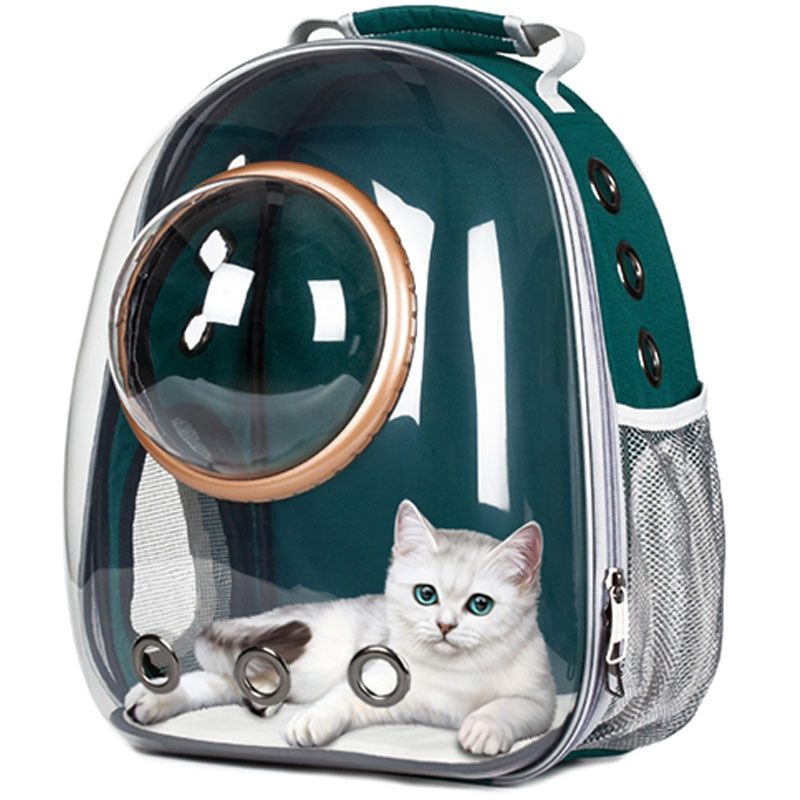 Cat Transparent Space Bag