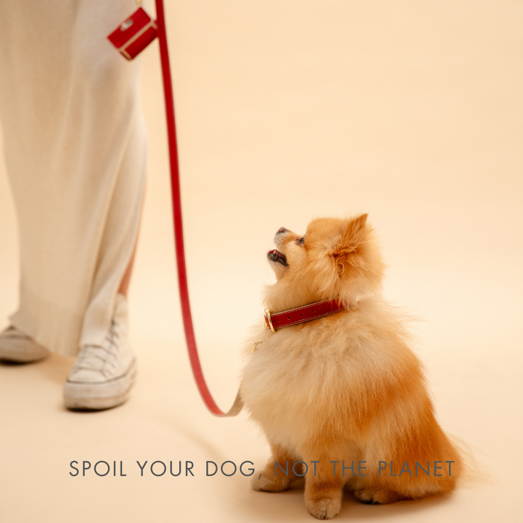 Nina Woof Vegan Leather - Copenhagen Leash