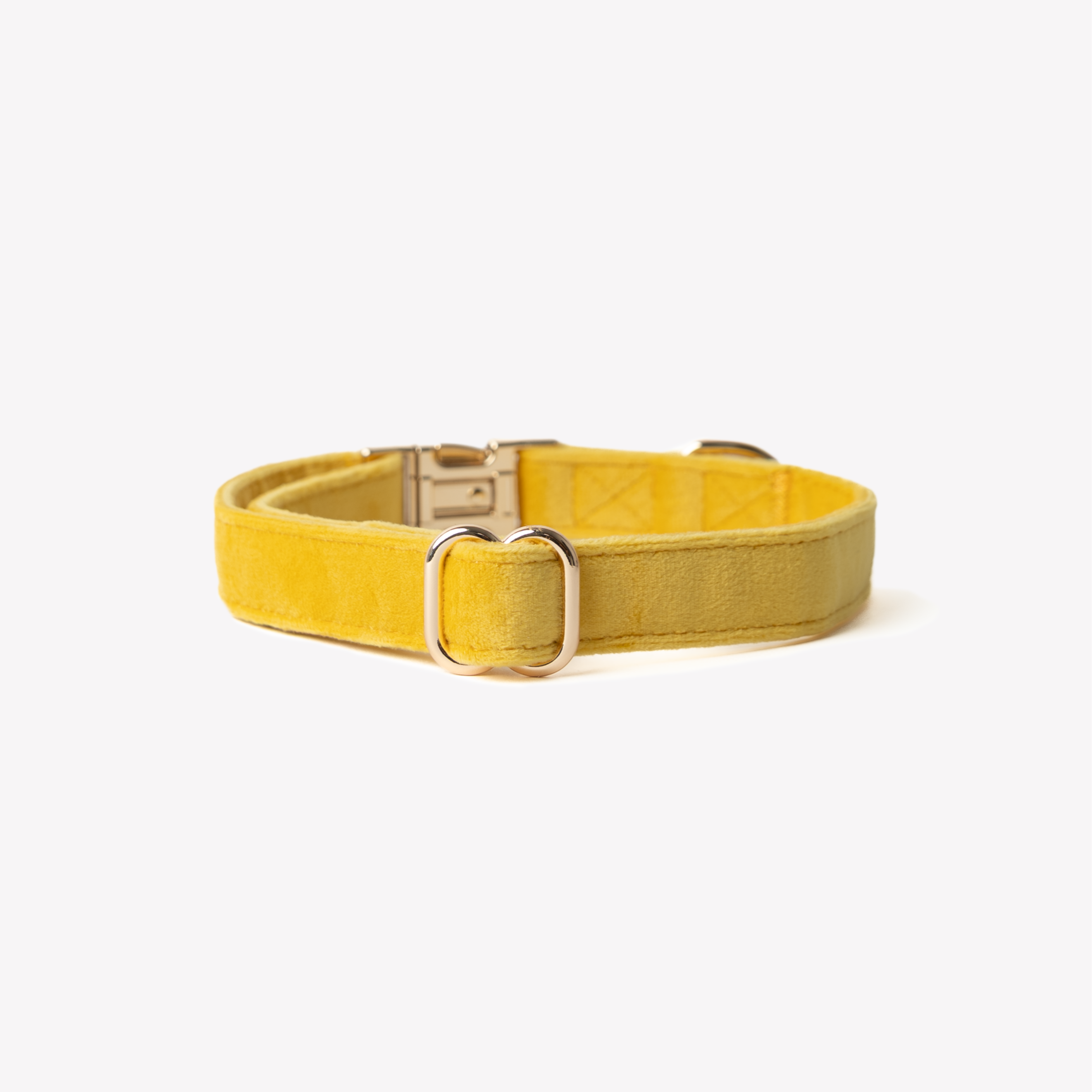 Furlou Mustard- Velvet Collar