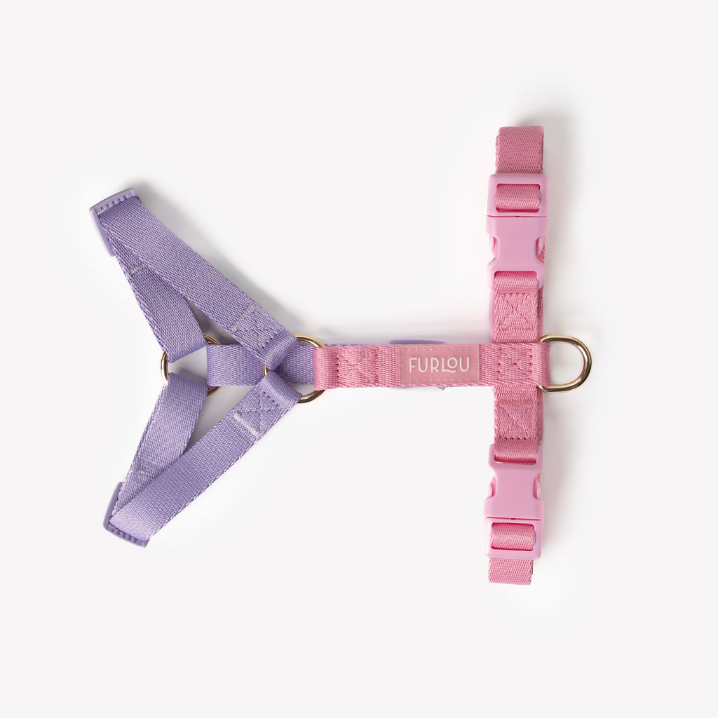 Furlou Lavender and Pink Harness