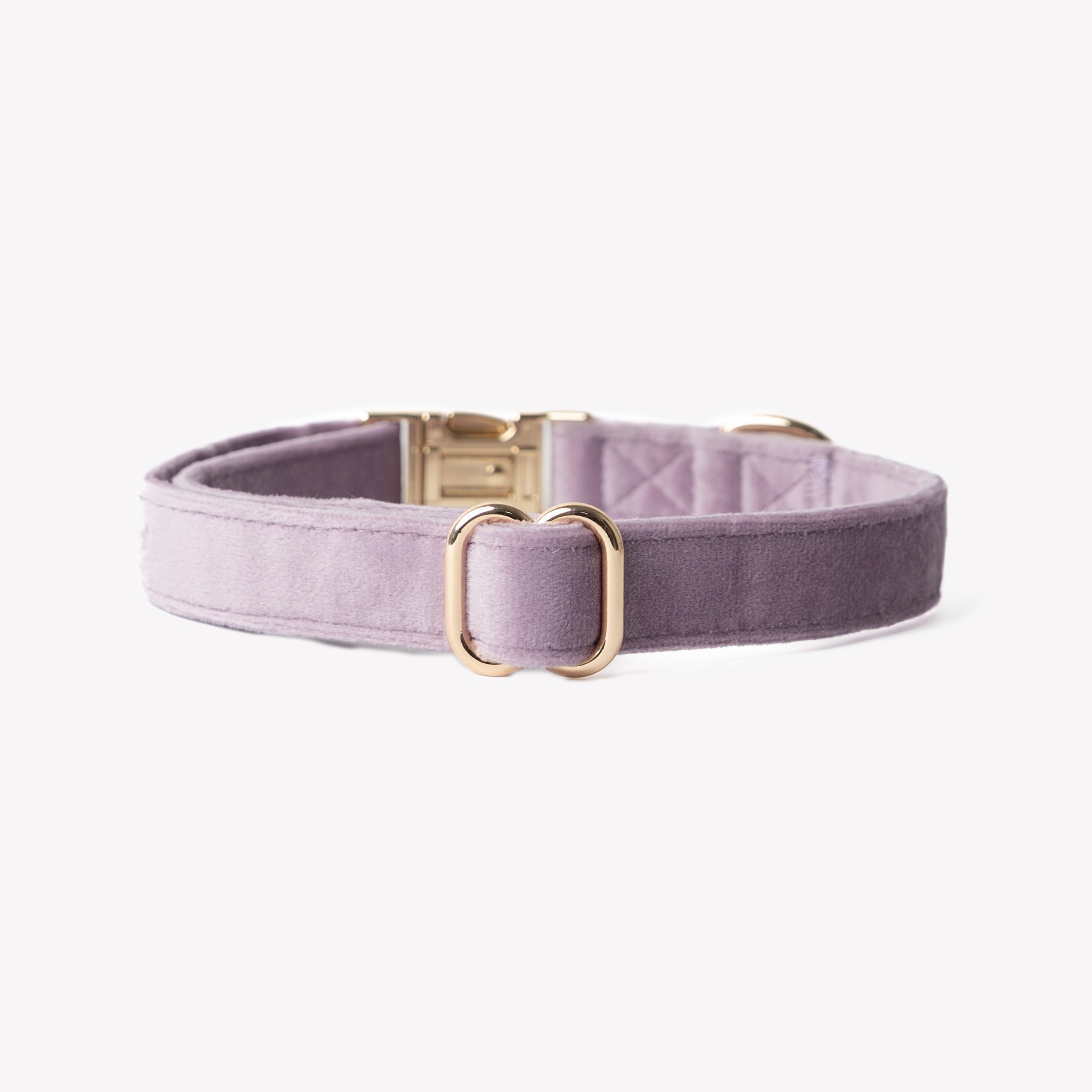 Furlou 'Lilac' - Velvet Collar