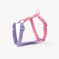 Furlou Lavender and Pink Harness