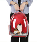 Cat Transparent Space Bag