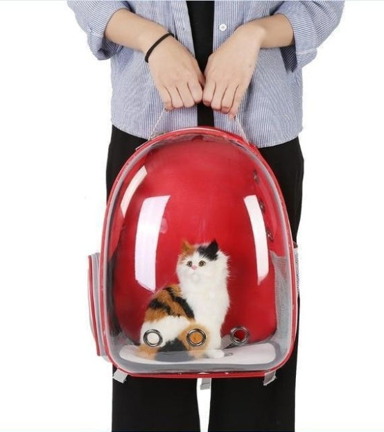 Cat Transparent Space Bag
