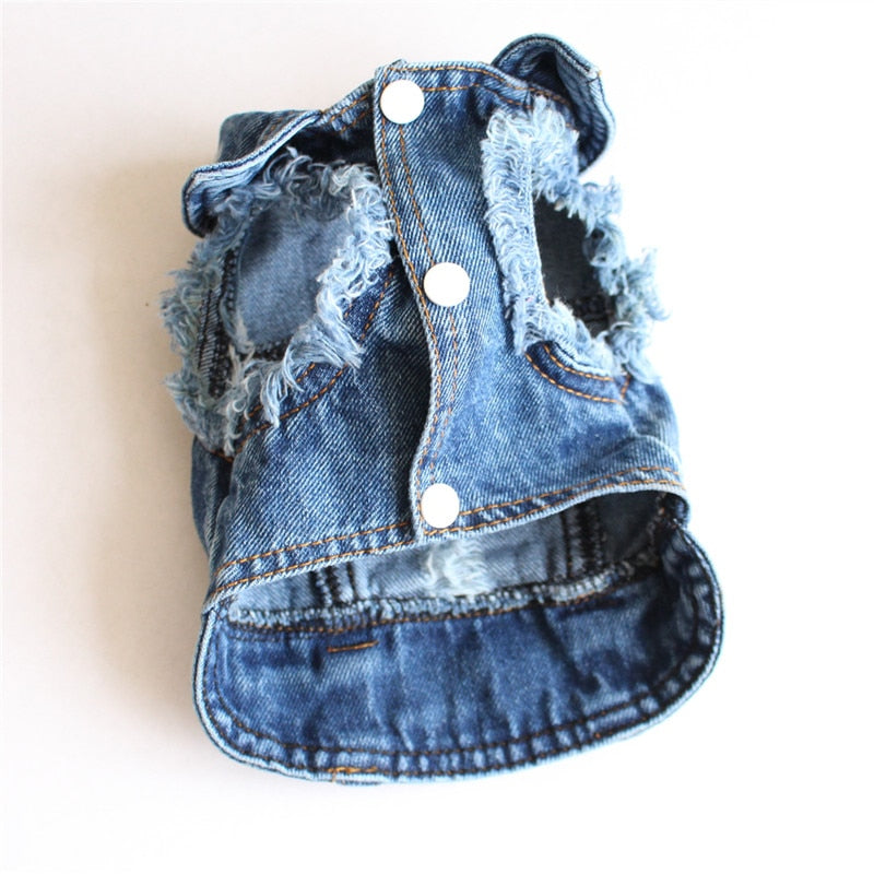Pet Blue Denim Jacket