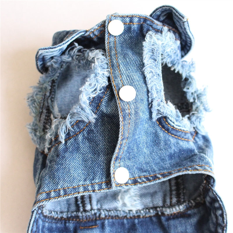 Pet Blue Denim Jacket