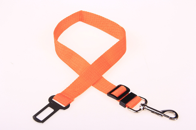 Fixed Strap Dog Strap Leash
