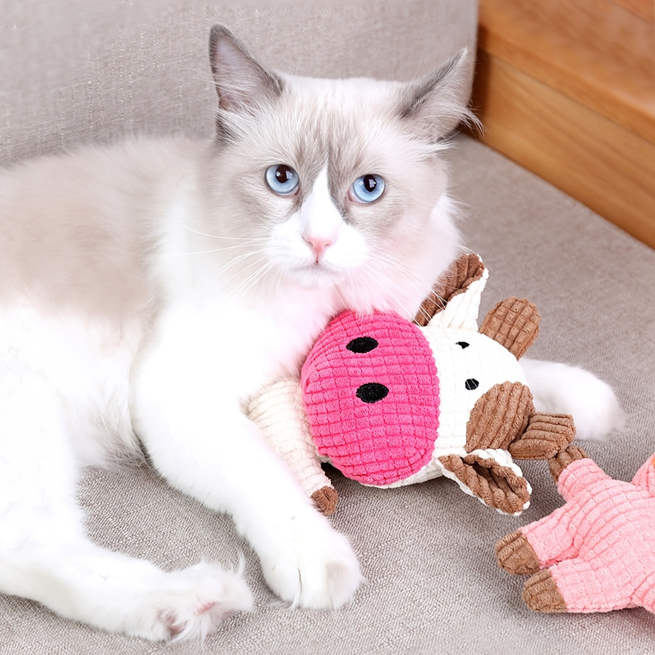 Cute Animal Plush Toys