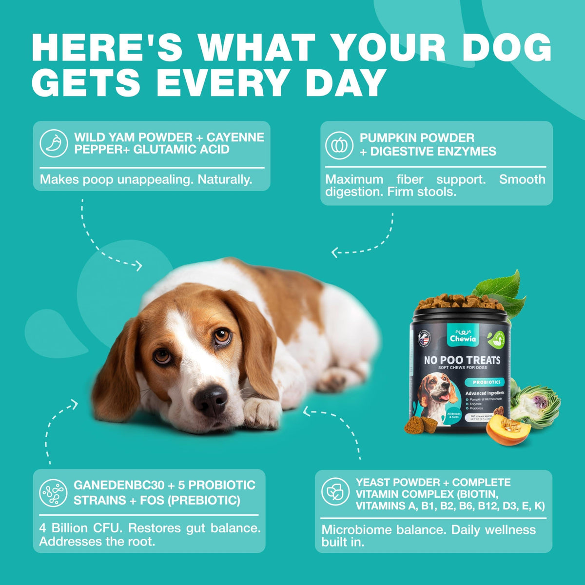 No Poo Chews for Dogs