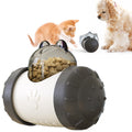 Interactive Pet Treat Dispenser Toy