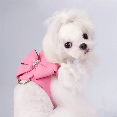 Big Bow Rhinestone Harness