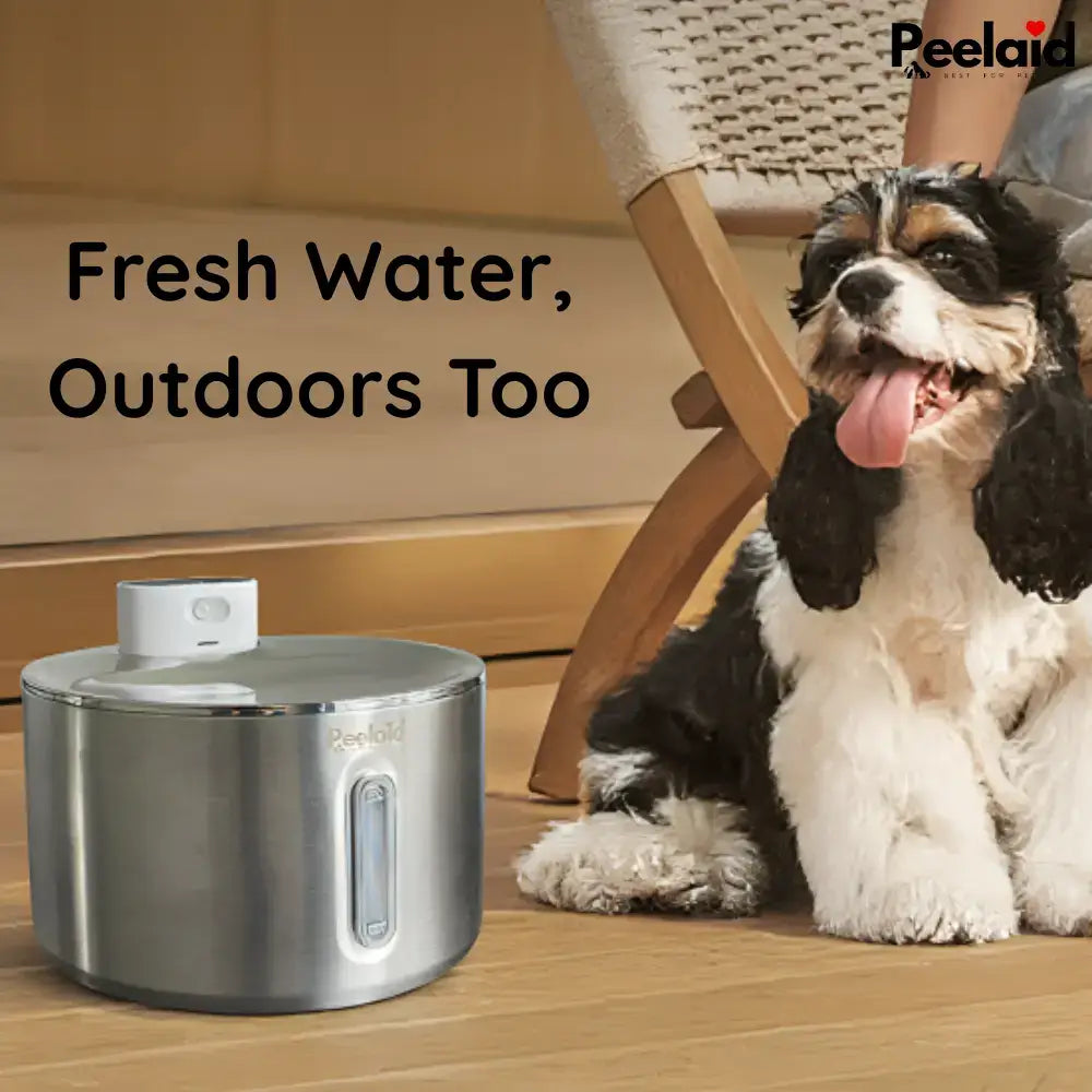 Peelaid™ SST Wireless Fountain