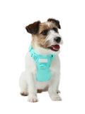 No Pull Harness Mint Green