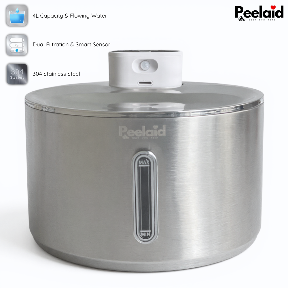 Peelaid™ SST Wireless Fountain