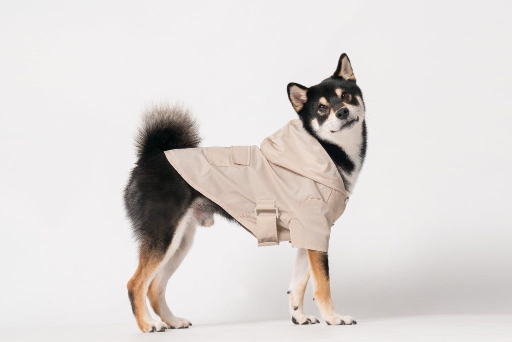 Beige Bowery Raincoat