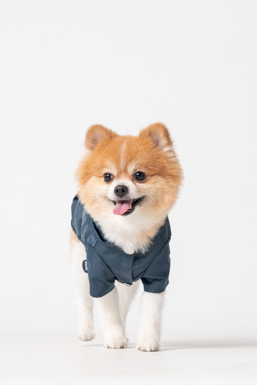 Blue Bowery Raincoat