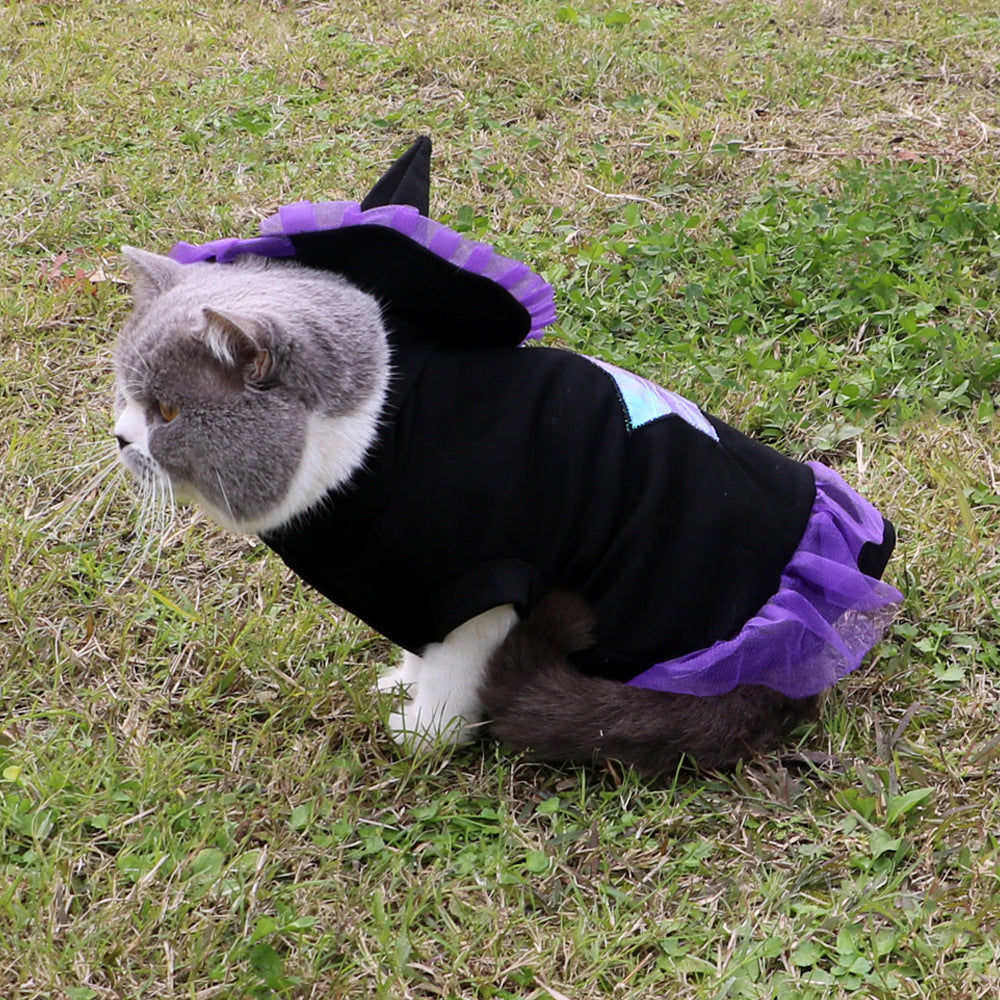 Wizard Halloween Costume