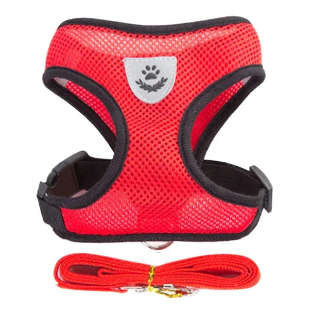 Cat Harness Vest & Leash