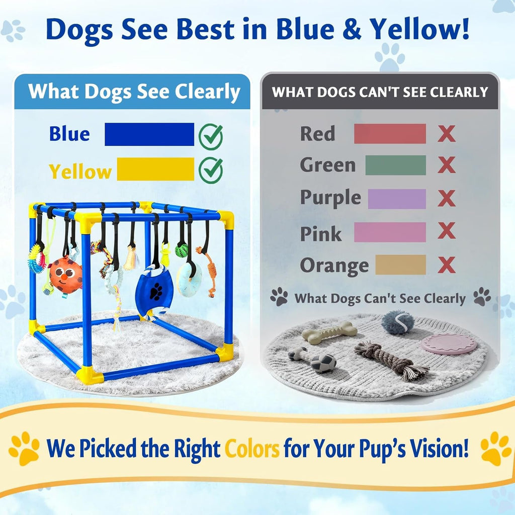 Interactive Puppy Play Gym